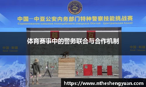 悟空体育平台